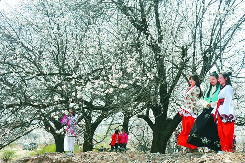 新直播体育app 移动端界面预览